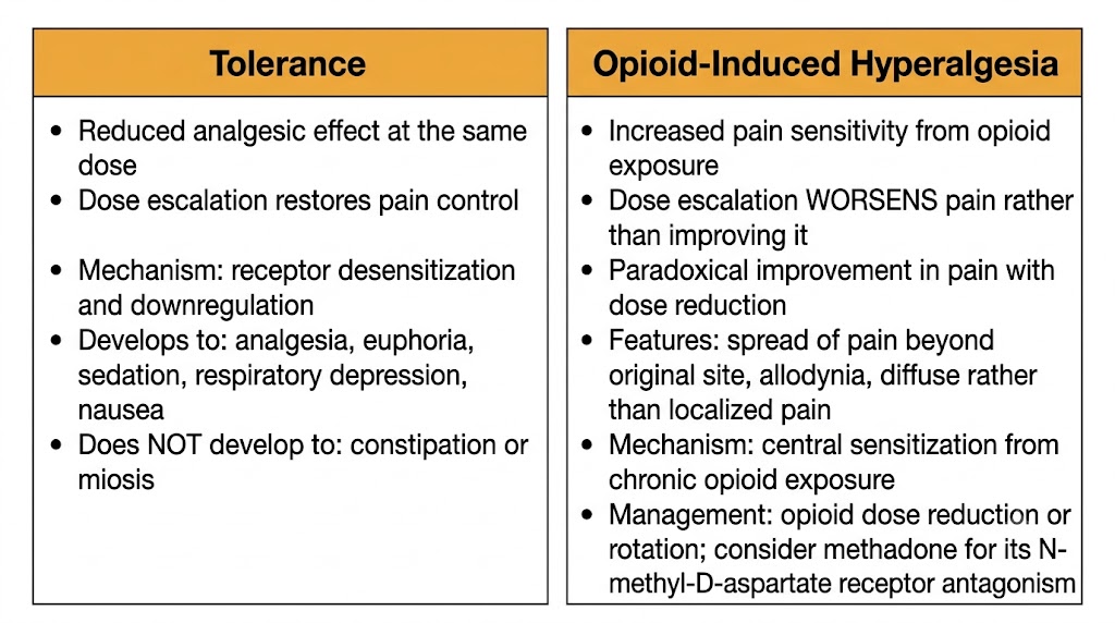 Two-panel diagram distinguishing opioid tolerance from opioid-induced hyperalgesia. Tolerance panel shows dose escalation restores pain control. Opioid-induced hyperalgesia panel shows dose escalation worsens pain, with paradoxical improvement on dose reduction.