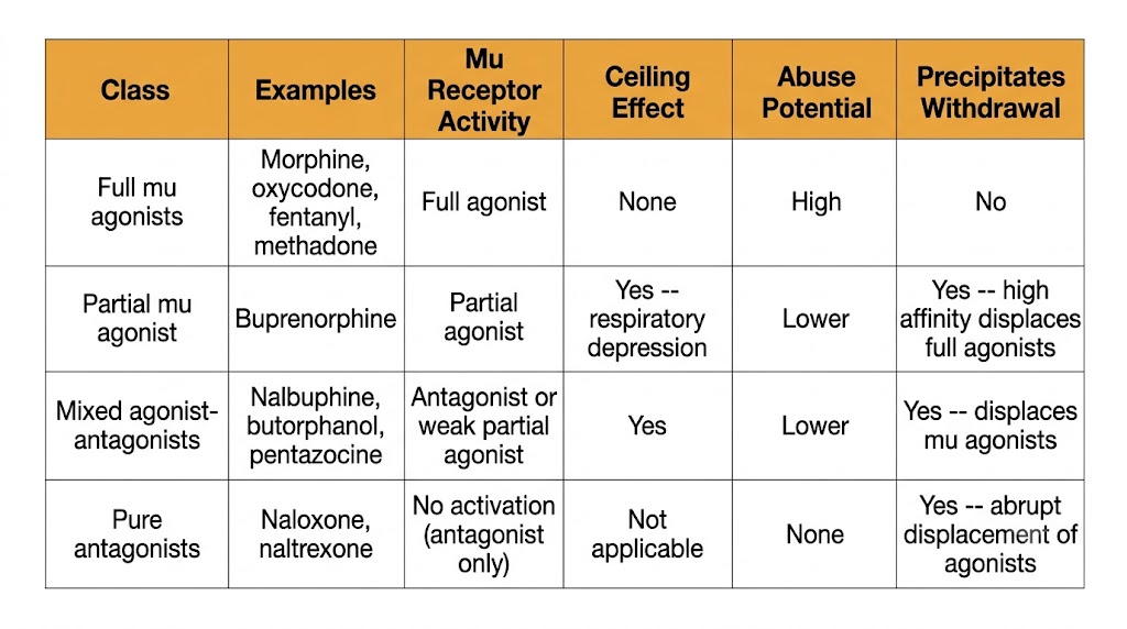 Six-column reference table comparing four opioid drug classes: full mu agonists with no ceiling effect and high abuse potential, buprenorphine as partial mu agonist with ceiling effect and precipitated withdrawal risk, mixed agonist-antagonists with ceiling effect and lower abuse potential, and pure antagonists with no agonist activity.