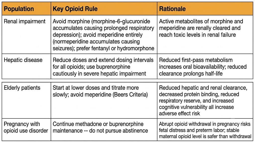 Reference table showing opioid prescribing rules for four special populations: renal impairment requiring avoidance of morphine and meperidine, hepatic disease requiring dose reductions, elderly patients requiring lower starting doses and avoidance of meperidine per Beers Criteria, and pregnancy with opioid use disorder requiring continuation of methadone or buprenorphine maintenance.