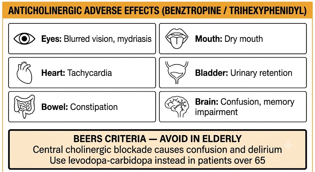 Organ-system grid showing anticholinergic adverse effects of benztropine and trihexyphenidyl — blurred vision, dry mouth, tachycardia, urinary retention, constipation, and confusion — with a Beers Criteria warning box at the bottom advising against use in elderly patients.