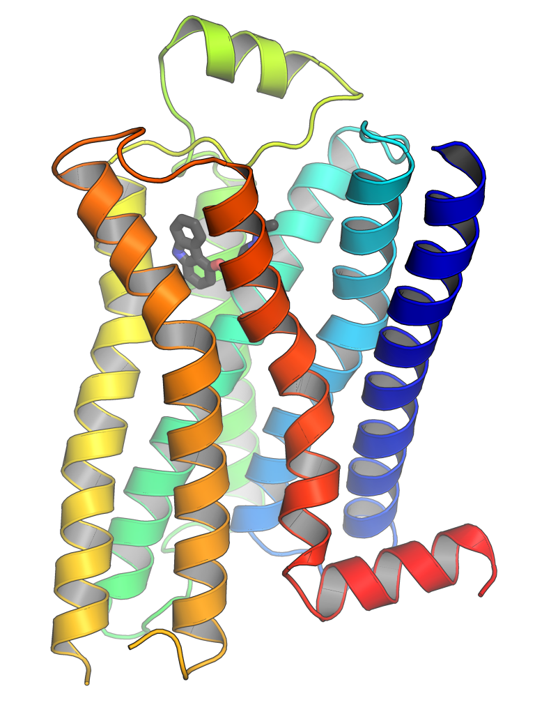 Ribbon diagram of the human beta-2 adrenergic receptor, a G protein-coupled receptor, showing seven transmembrane alpha helices in rainbow coloring from N-terminus to C-terminus, with the small molecule inverse agonist carazolol bound within the transmembrane bundle.