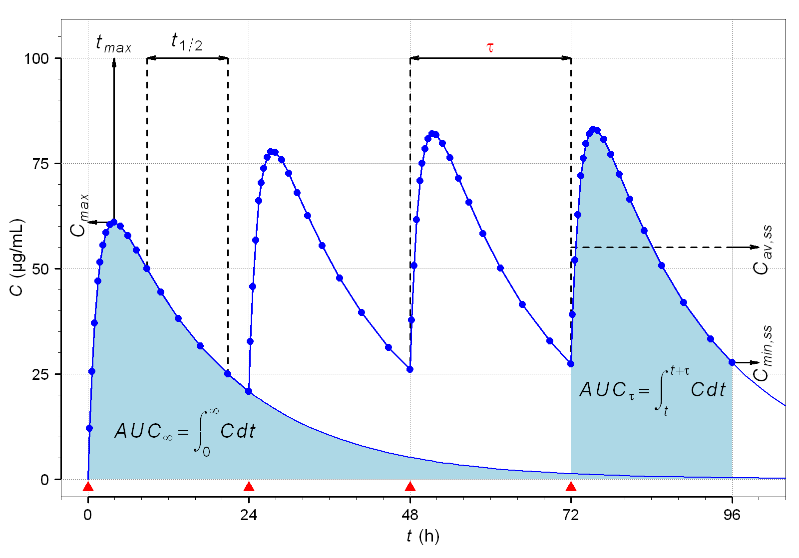 Graph showing plasma drug concentration in micrograms per milliliter over 96 hours following oral administration every 24 hours. The first dose shows Cmax at approximately 63 micrograms per milliliter, Tmax at about 3 hours, and an absorption half-life of 1 hour and elimination half-life of 12 hours. With repeated dosing at 24-hour intervals (tau), drug accumulates until steady state is reached after approximately 60 hours (5 times the 12-hour half-life), at which point peak and trough concentrations stabilize. The shaded areas illustrate AUC infinity after the first dose and AUCτ at steady state, which are equal in linear pharmacokinetics. Cav,ss indicates the average steady-state concentration and Cmin,ss the minimum trough.