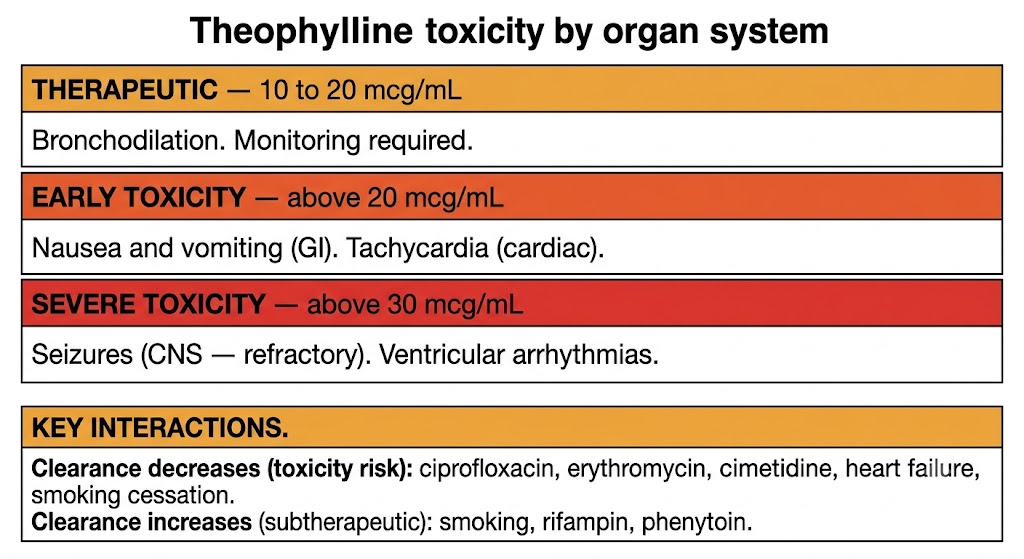 Theophylline toxicity by organ system shown in three escalating tiers: therapeutic range 10-20 mcg/mL with bronchodilation; early toxicity above 20 mcg/mL with nausea, vomiting, and tachycardia; severe toxicity above 30 mcg/mL with refractory seizures and ventricular arrhythmias. Key interactions box lists drugs that decrease clearance (toxicity risk) and increase clearance (subtherapeutic levels).