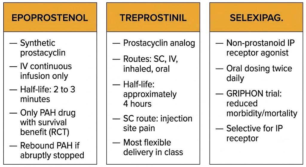 Three-panel comparison of prostacyclin pathway drugs: epoprostenol (IV continuous, 2-3 minute half-life, only PAH drug with RCT survival benefit, rebound if stopped), treprostinil (prostacyclin analog with SC/IV/inhaled/oral routes, 4-hour half-life, injection site pain), and selexipag (non-prostanoid oral IP receptor agonist, GRIPHON trial evidence).