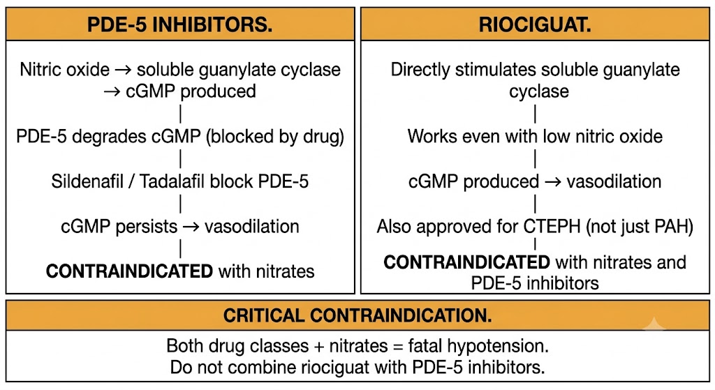 Two-panel diagram of the nitric oxide/cGMP pathway: left panel shows PDE-5 inhibitors sildenafil and tadalafil blocking cGMP degradation to sustain vasodilation with nitrate contraindication; right panel shows riociguat directly stimulating soluble guanylate cyclase independent of nitric oxide, approved for both PAH and CTEPH, contraindicated with nitrates and PDE-5 inhibitors. Shared critical contraindication box warns both classes plus nitrates cause fatal hypotension.