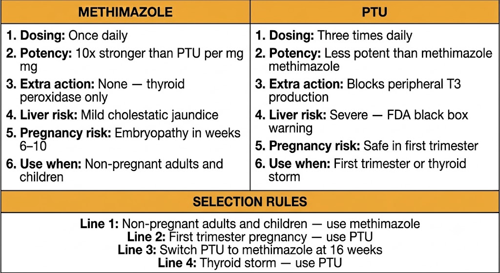 Two-panel comparison of methimazole versus propylthiouracil showing pharmacokinetics, adverse effects, and clinical selection rules