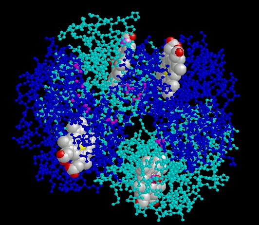 dpg oxy 