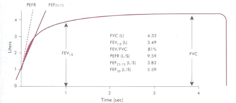 Spirometry Normal Values Chart