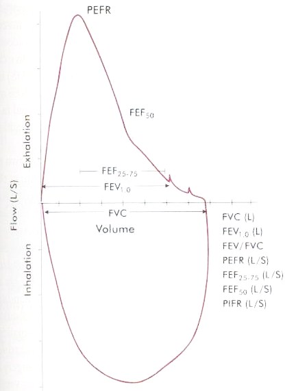 Spirogram Chart